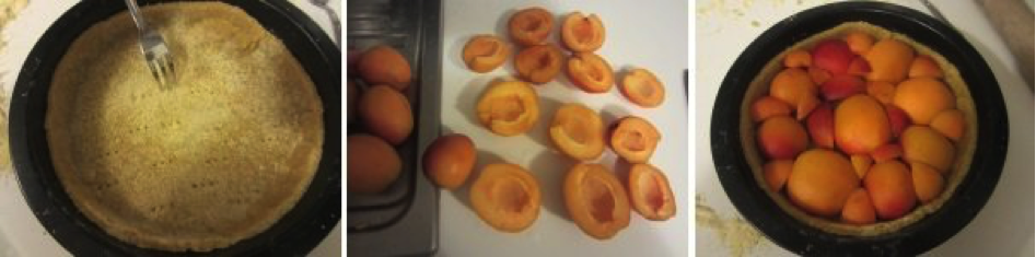 apricot tart