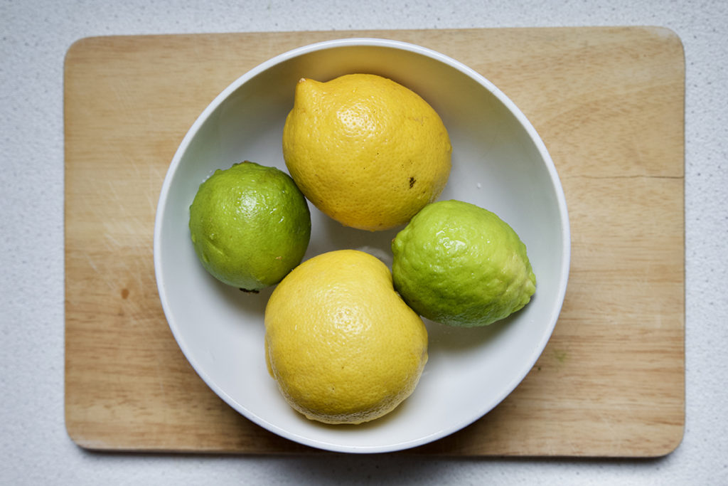 candied lemons and limes