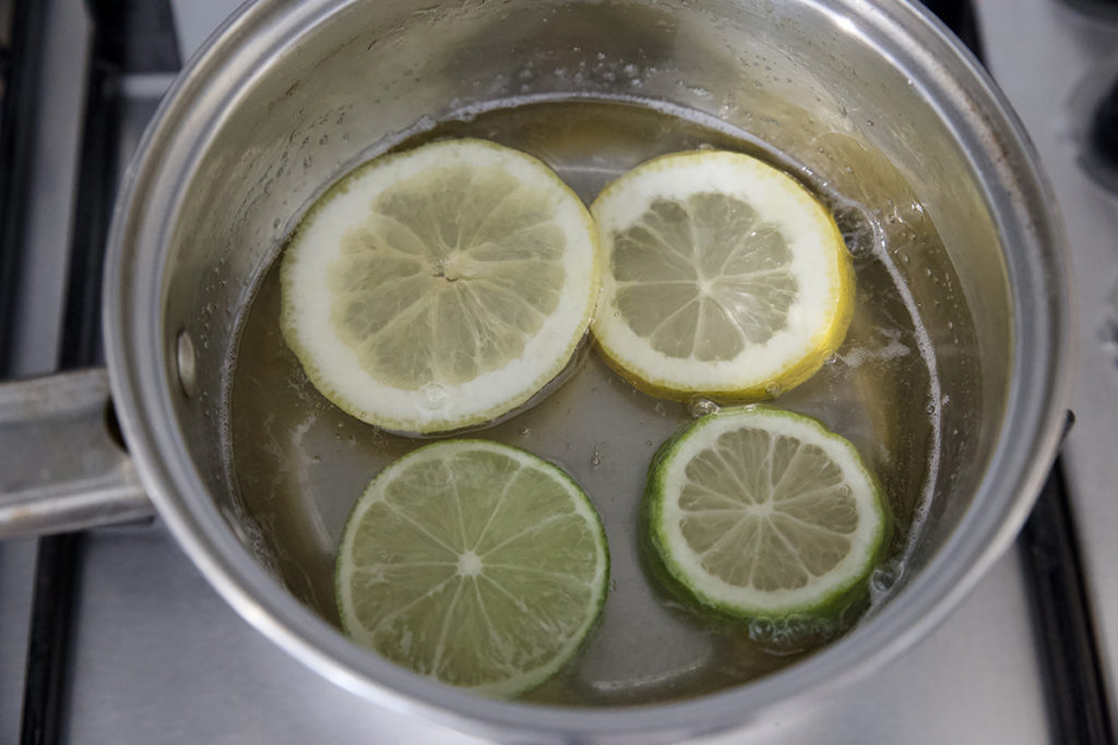 candied lemons and limes